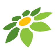 LINKTREE INSTAGRAM